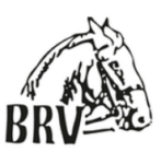 Bregenzer Reitervereinigung bregenzer reitervereinigung