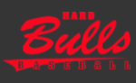 Baseballverein Hard Bulls 106