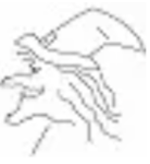 Kinderfasching Leiblach 211