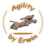 Agility by Erwin 5