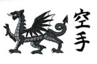 Karateclub Kleiner Drache Mäder 2