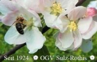Obst- und Gartenbauverein Sulz-Röthis 2024 10 21 15 34 40 obst und gartenbauverein sulz roethis roethis und 1 weitere seite geschaeftlic