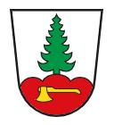 Antennengemeinschaft Bezau-Reuthe reuthe