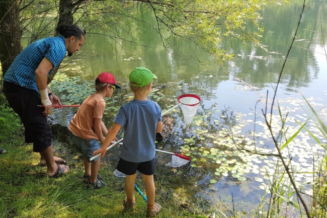 Familiennachmittag „Von lautstarken Teichbewohnern und geheimnisvollen Verwandlungen“ familiennachmittag bregenz 20230608 145003v biancaburtscher det 002