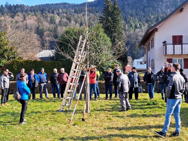 Obstbaumschnittkurs 20250301 140141
