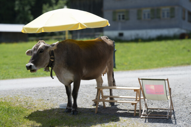 Wanderung der Ortsgruppe Dornbirn - Mai dsc2094