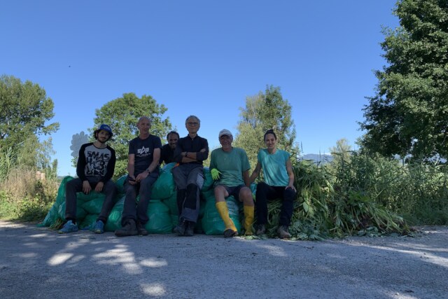 Mitmachaktion im Lauteracher Ried