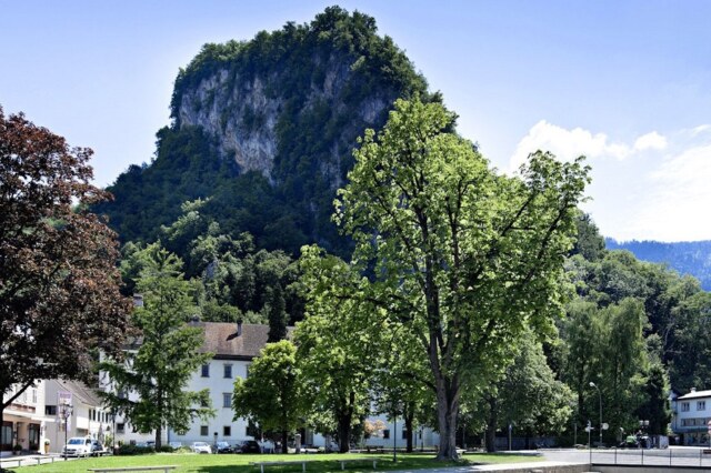Exkursion „Faszinierende Vielfalt am Schlossberg“ schlossplatz c tourismus stadtmarketing hohenems gmbh hohenems tourismusklein Exkursion „Faszinierende Vielfalt am Schlossberg“